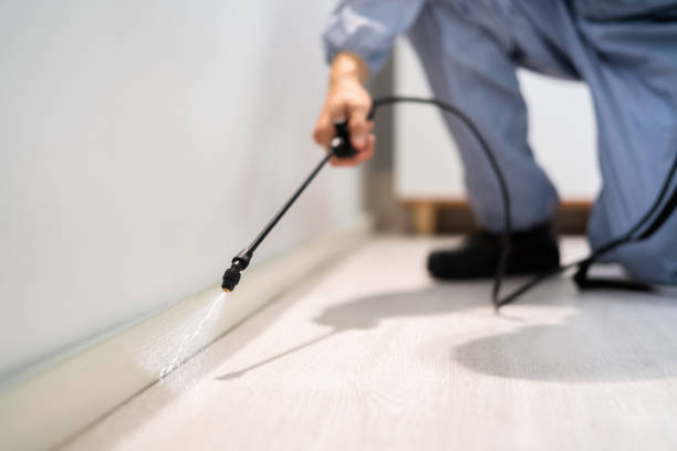 Licensed Cockroach Control service in Lake St. Louis, MO - Nex Pest Control